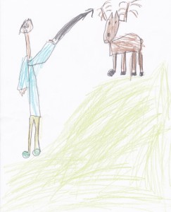 Shooting deer